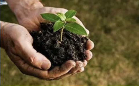 打造更好的“植物医生”